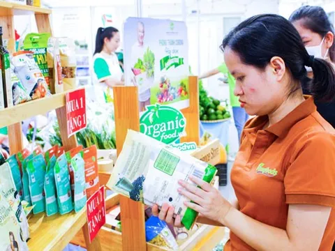 Chuẩn bị cho mùa Tết tiết kiệm