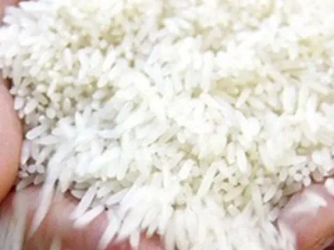 Philippines tăng mua gạo Việt Nam