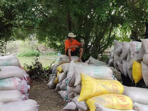 Một thị trường lớn của Việt Nam vừa chào mua thêm 500.000 tấn gạo