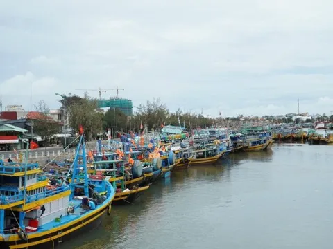 Bình Thuận: Ngăn chặn tàu cá khai thác hải sản bất hợp pháp ở vùng biển nước ngoài