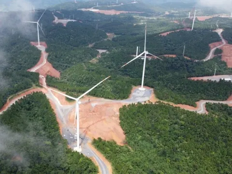 Một công ty của 'ông trùm' năng lượng Mai Văn Huế lãi chưa đến 2 tỷ đồng trong nửa đầu năm, giãn nợ 4 lô trái phiếu thêm 2 năm