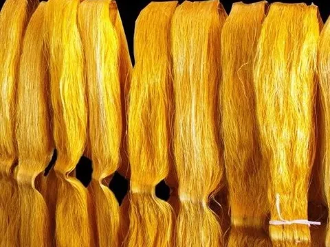Chỉ trong 8 tháng, Việt Nam mạnh tay chi hơn 5 tỷ USD nhập khẩu một mặt hàng từ Trung Quốc, là nguyên liệu quan trọng giúp nước ta “hốt bạc” từ tay các ông lớn
