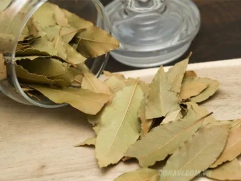 Một loại lá chuyên dùng để nấu phở của Việt Nam bỗng được săn lùng ở nước ngoài: xuất khẩu tăng đột biến 2.000%, thu về hơn 20 tỷ đồng