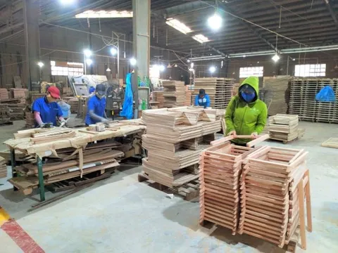 Phú Tài lên tiếng về tình hoạt động sau vụ Noble House phá sản, cổ phiếu giảm 3 phiên liên tiếp