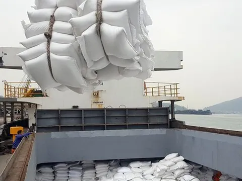 Giá gạo Việt xuất khẩu đứng đầu thế giới