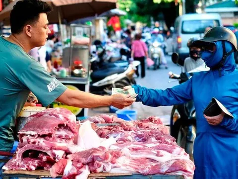 Giá heo hơi gần chạm đáy, người dân vẫn phải mua thịt heo giá ‘trên trời’