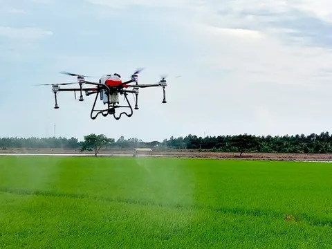 Hỗ trợ 22 doanh nghiệp tiên phong vươn ra thế giới