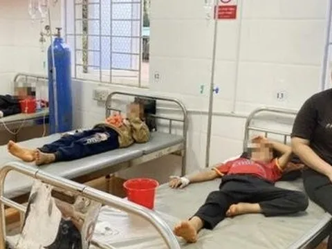 Ăn thịt cóc 3 em nhỏ bị ngộ độc