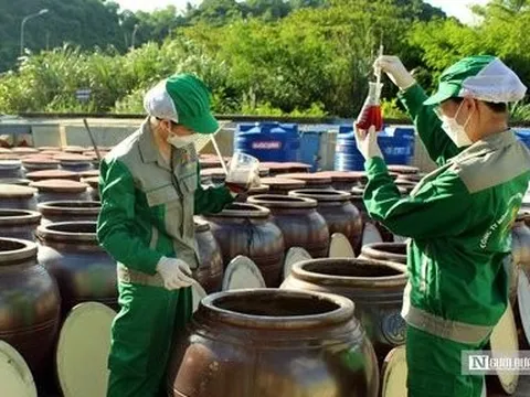 Hải Phòng: Cấp giấy chứng nhận “Sản xuất tại Cát Hải” cho 29 loại mắm