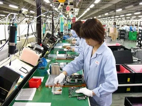 Khuyến cáo về tình trạng lừa đảo xuất khẩu lao động trên mạng