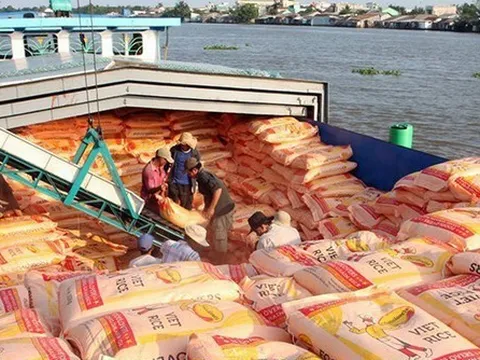 Xuất khẩu gạo, rau quả dự kiến lập kỷ lục mới