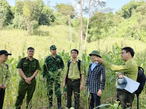 Kết quả kiểm tra thông tin 3,2ha rừng đặc dụng bị chặt phá