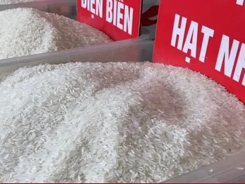Gạo lại tăng giá liên tục, tiểu thương không dám nhập thêm hàng
