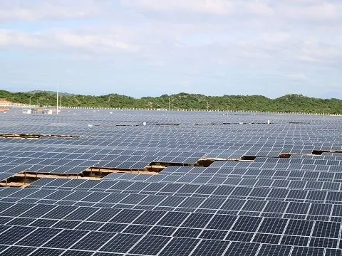 Doanh nghiệp năng lượng tái tạo của đại gia kín tiếng tại Ninh Thuận báo lãi tăng 800% nửa đầu năm 2023