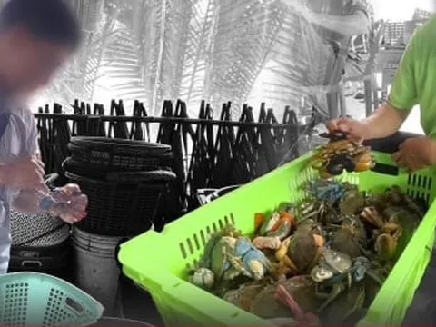 Vén màn mánh khóe xảo quyệt sau chuyện thương lái ép giá ở thủ phủ cua Cà Mau