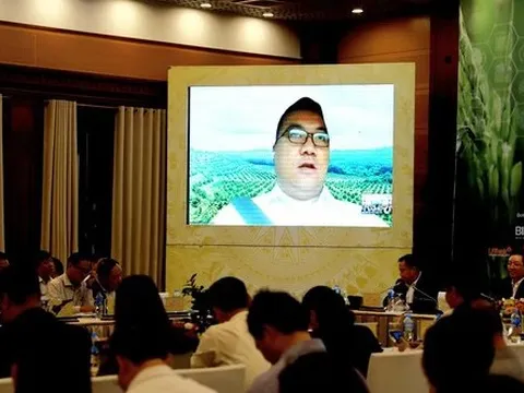 Người nông dân đang sử dụng "ngân hàng số" như thế nào?