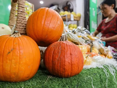 Khách lùng mua trang trí Halloween, bí ngô đủ loại cháy hàng