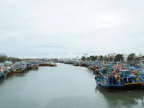 Bình Thuận:Tìm kiếm 1 thuyền viên bị mất tích trong quá trình lặn biển