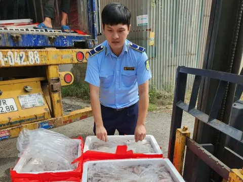 Bắt ôtô chở 4,5 tấn cá khoai có chứa formol