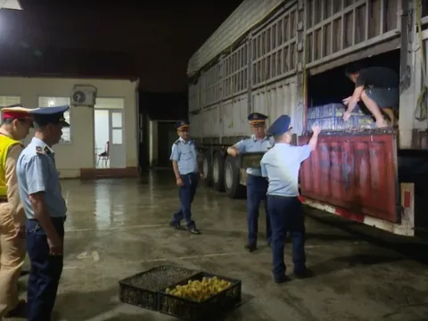 Quyết liệt chặn gia cầm nhập lậu