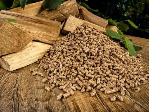“Cây kim tiền” giúp Việt Nam thu gần 10 tỷ USD chỉ trong 9 tháng: Mỹ, Trung Quốc, Nhật Bản “chốt đơn” nhiều nhất, Việt Nam xếp thứ 5 thế giới