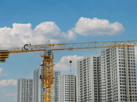 Cổ đông hỏi về khoản trích lập dự phòng nợ xấu sau khi Tân Hoàng Minh đã nộp hơn 8.000 tỷ đồng khắc phục hậu quả, Coteccons (CTD) trả lời sao?