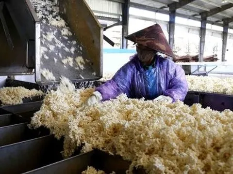 Việt Nam sở hữu “gà đẻ trứng vàng” cực kỳ hút khách Trung Quốc: 9 tháng kiếm 1,4 tỷ USD từ thị trường tỷ dân, diện tích đứng thứ 5 thế giới