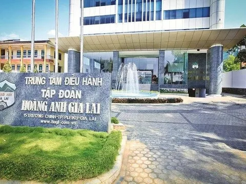 Hoàng Anh Gia Lai (HAGL): Lợi nhuận 9 tháng đạt 710 tỷ đồng, tự tin nguồn thu từ chuối sẽ tăng mạnh vào cuối năm