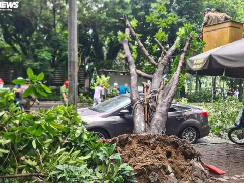 Những khu vực không nên đỗ ô tô khi trời mưa bão