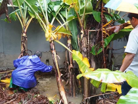 CLIP: Cận cảnh hố sụt lún sâu hoắm xuất hiện ở Quảng Trị