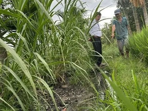 Cận cảnh kênh thủy lợi được đầu tư hơn chục tỷ đồng rồi bỏ hoang