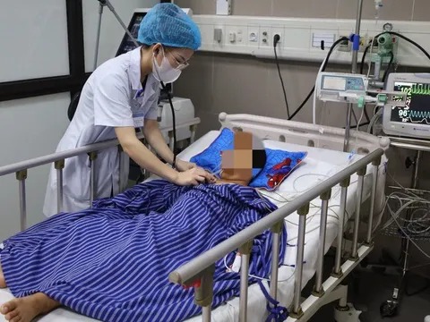 Bắt rắn chơi, bé trai 7 tuổi bị rắn độc cắn nguy kịch