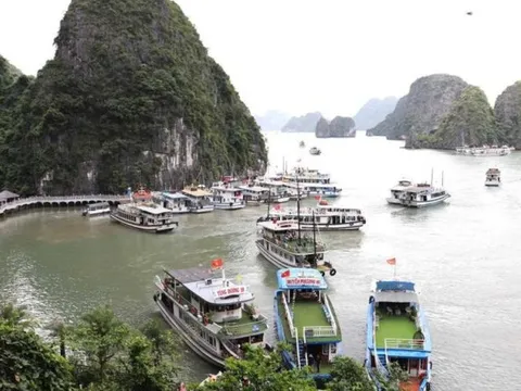 Quảng Ninh: Tạm ngừng cấp phép cho tàu ra khơi từ 15h ngày 19/10