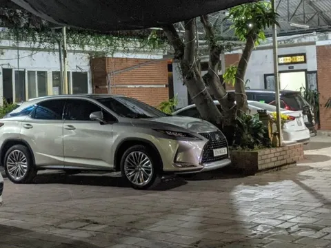 Xác minh vụ xe sang Lexus của “kiều nữ” lừa đảo bị kê biên nghi vẫn tung tăng trên phố