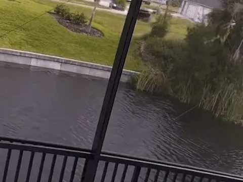 Xe 'cơ bắp' Mỹ lao thẳng xuống kênh vì mất lái