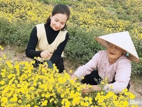 Hải Phòng: “Nữ tướng” giúp đưa về những mùa vàng bội thu