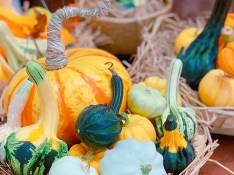 Săn mua set bí ngô đẹp hút mắt ‘sống ảo’ dịp Halloween
