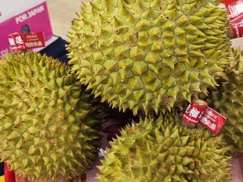 Loại trái cây giúp ngành rau quả mang về 5 tỉ USD từ xuất khẩu