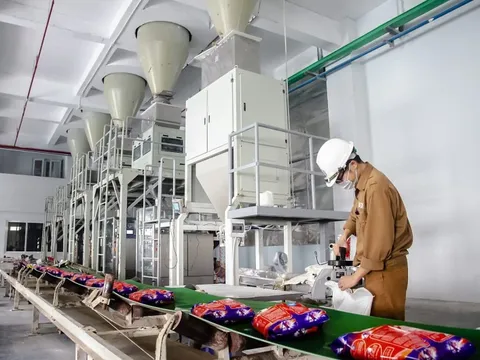 Hóa chất Đức Giang (DGC) báo lãi ròng quý 3/2023 giảm 46%, cầm gần 10.000 tỷ tiền mặt và chỉ có 1.000 tỷ đồng nợ vay tài chính