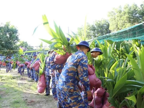 2.000 cây dừa giống được trao tặng cho huyện đảo Trường Sa