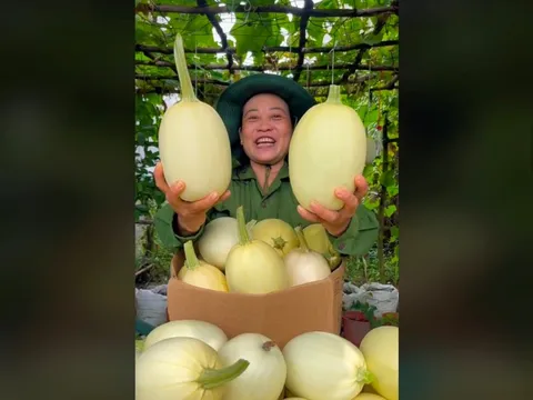 TikTok giúp bà con nông dân thu hơn 100 tỷ hàng OCOP, riêng Thịt chua Phú Thọ, Thốt nốt An Giang… tăng trưởng 200-400% với doanh số vài tỷ/tháng