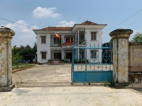 Gây thiệt hại 96 triệu đồng, giám đốc Ban Quản lý rừng phòng hộ bị kỷ luật