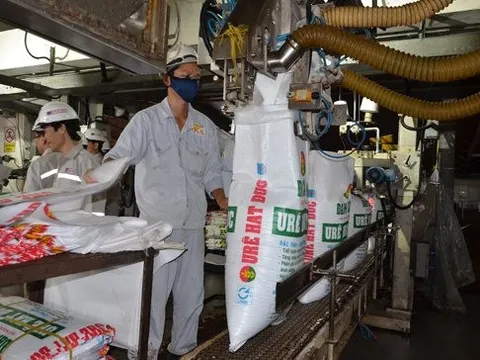 Đạm Cà Mau (DCM) báo lợi nhuận quý 3/2023 giảm gần 90%, cầm gần 10.000 tỷ tiền mặt và tiền gửi