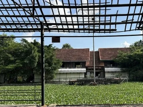 Khu sinh thái Vĩnh Hưng giữa lòng Thủ đô thành nơi nuôi gà, đổ rác