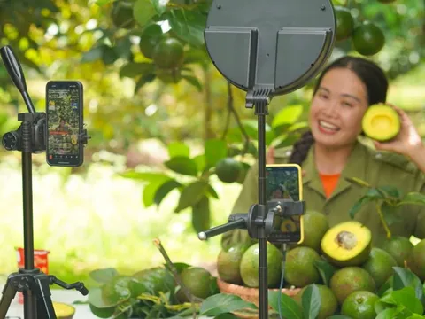 Đầu ra cho sản phẩm OCOP từ mô hình mua sắm giải trí qua livestream