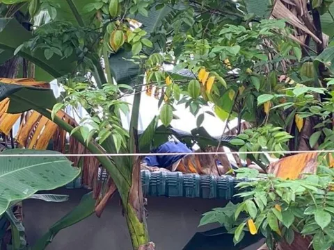 Thừa Thiên-Huế: Nhân viên viễn thông tử vong nghi bị điện giật