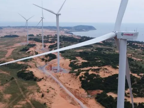 Liên đới đại gia Hứa Thị Phấn và thế khó của Vneco