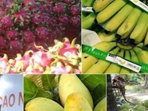 Xuất khẩu rau quả đạt kỷ lục gần 5 tỷ USD
