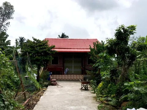 Vợ chủ tịch 1 huyện ở Cà Mau mua hàng trăm m2 đất chỉ với 10 triệu đồng!