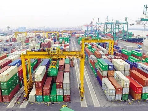 Áp lực từ chi phí lãi vay sau thương vụ nghìn tỷ Nam Hải Đình Vũ, Viconship báo lãi quý 3/2023 giảm 60%